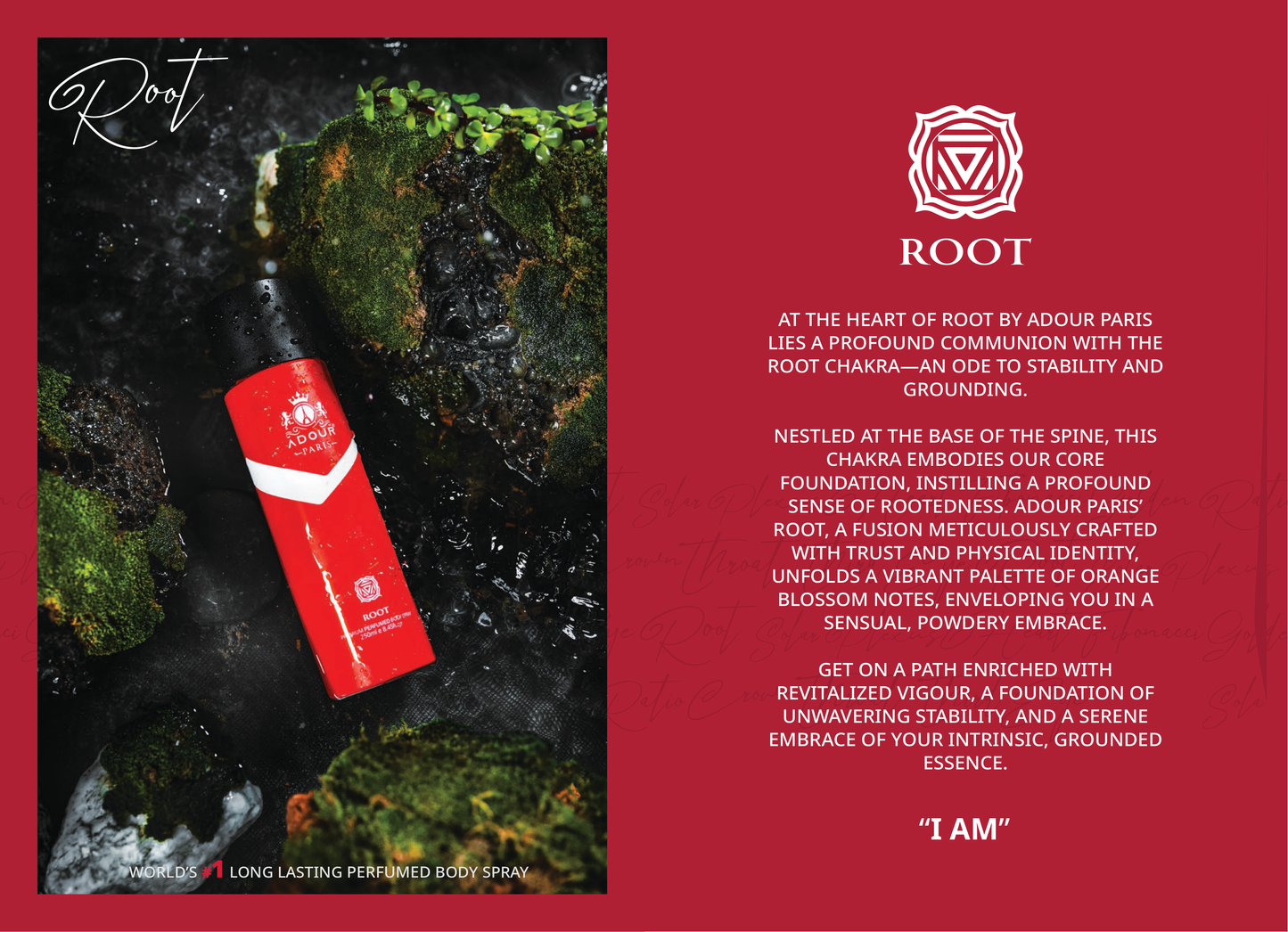 Ground yourself with Root Body Spray. A poetic fusion of vibrant orange blossom and woody depth, designed to inspire stability, balance, and revitalized energy.